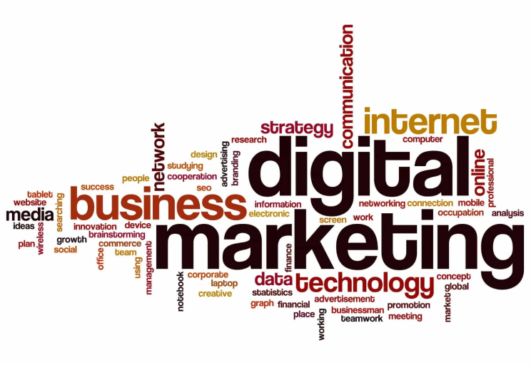 One Digital Marketing suite for all aspects of digital marketing.